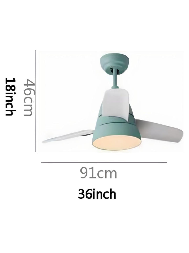 Designer Fans