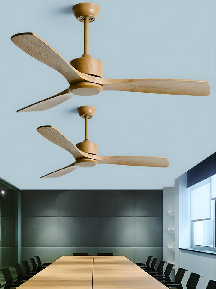 Designer Fans