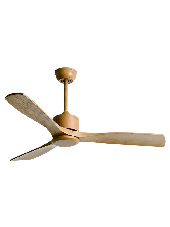 Designer Fans