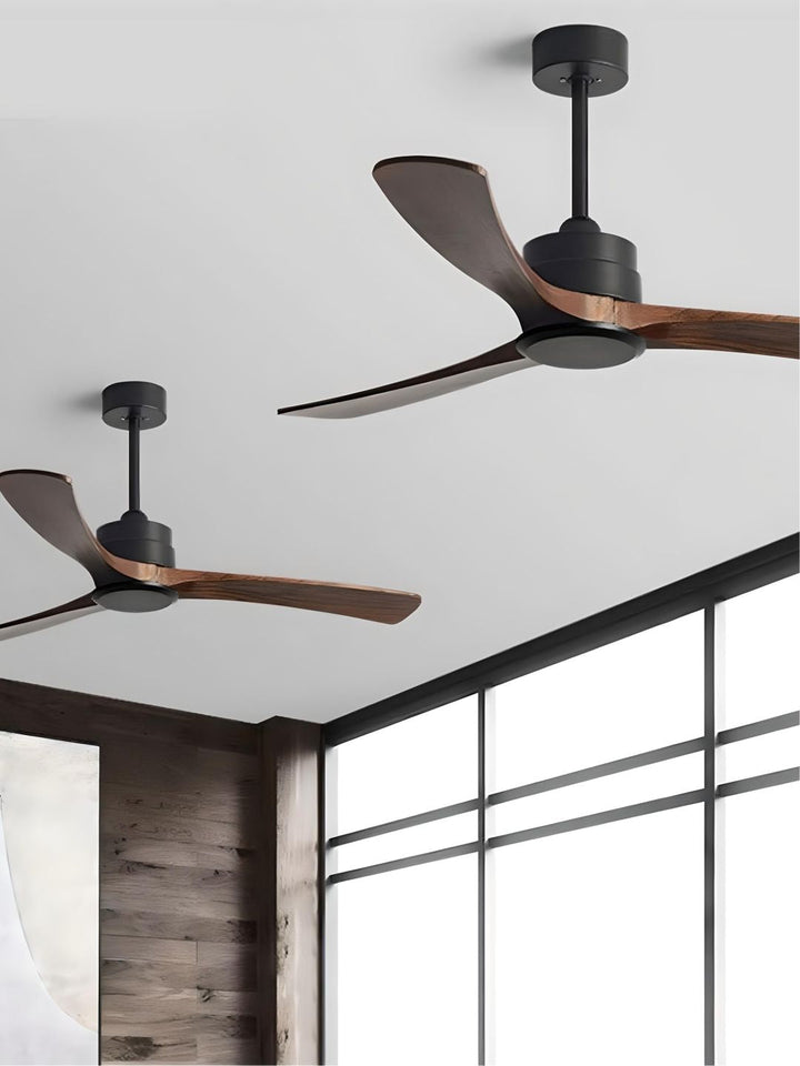 Designer Fans