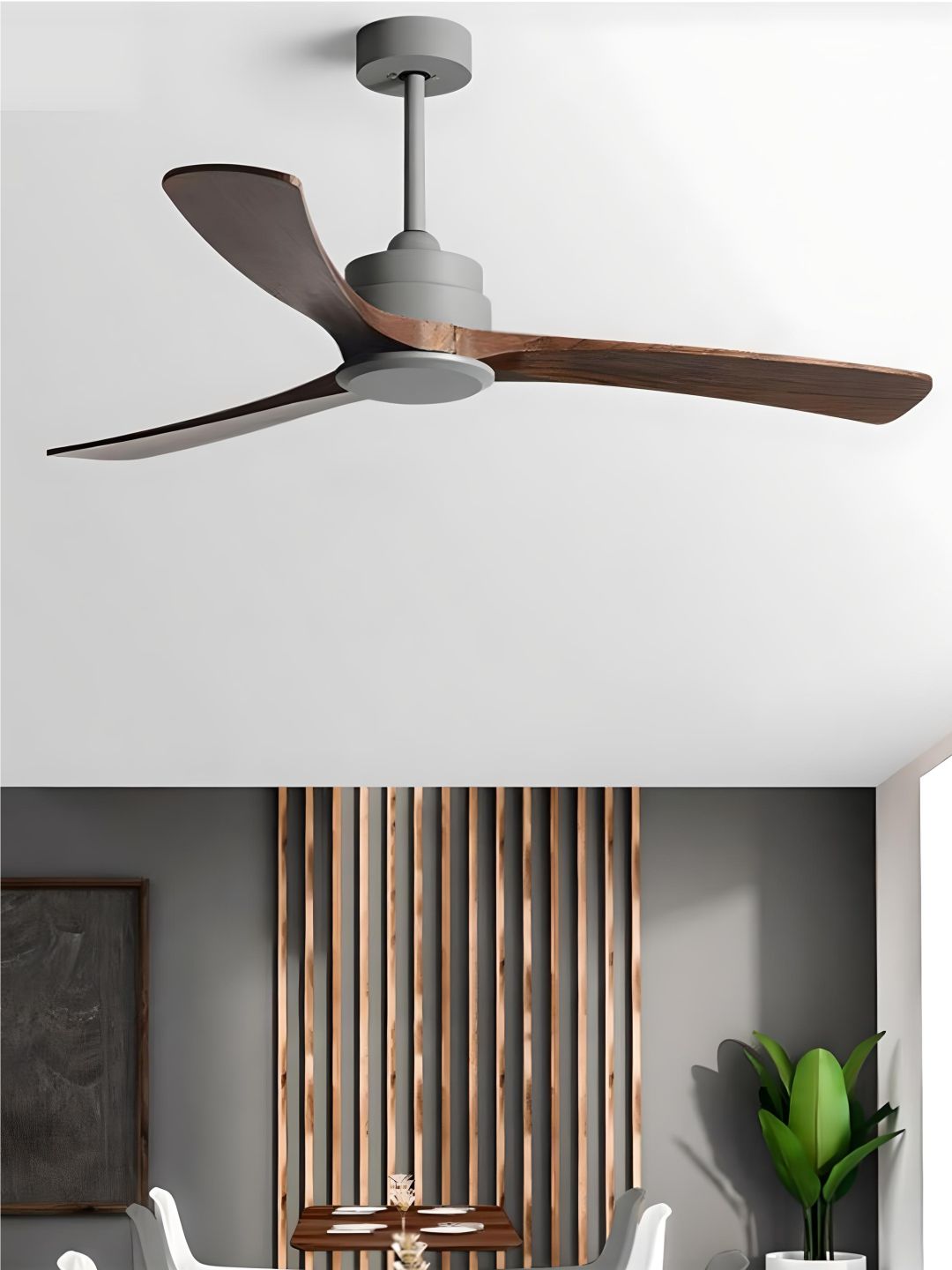 Designer Fans