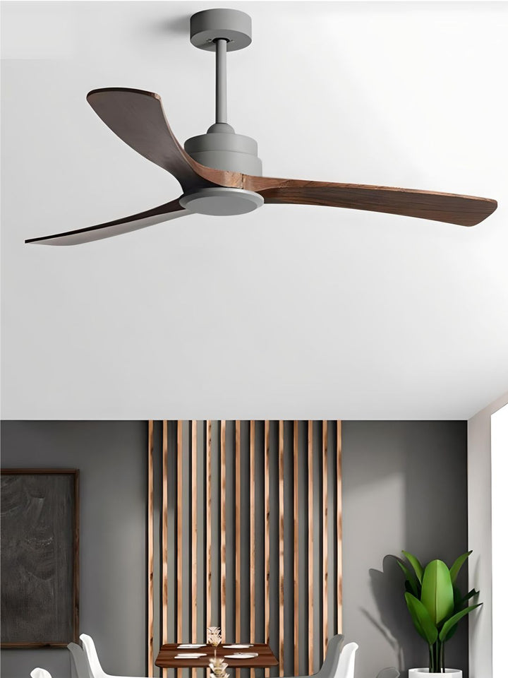 Designer Fans