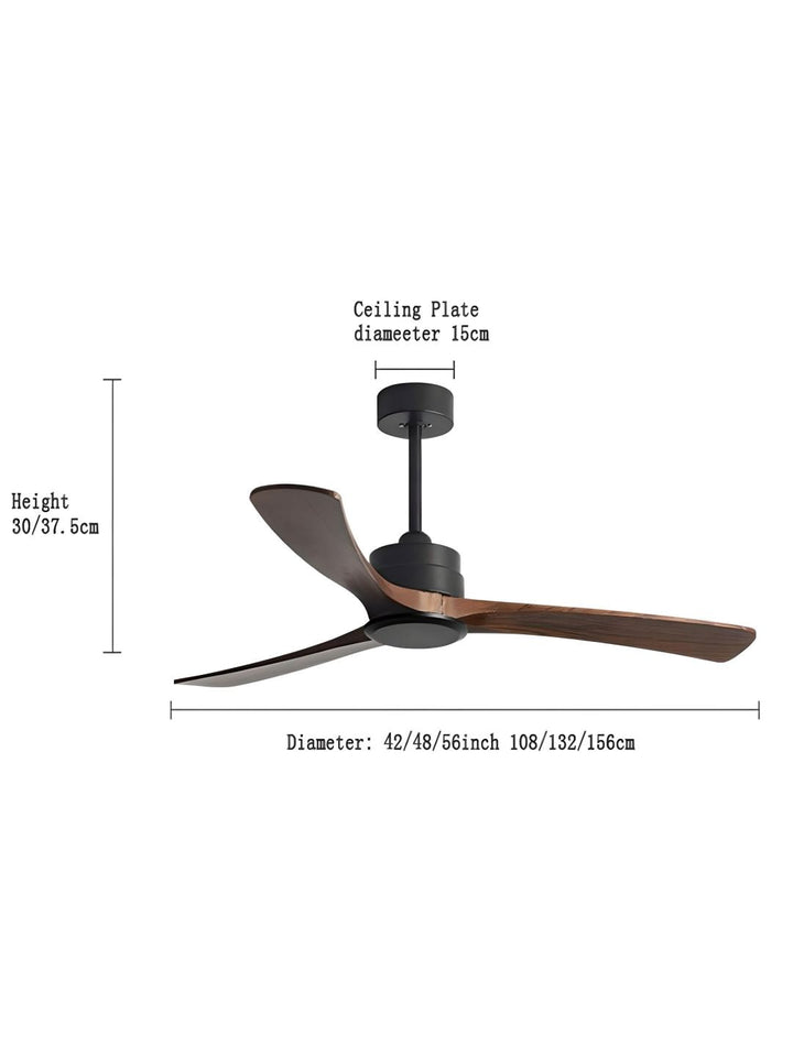 Designer Fans