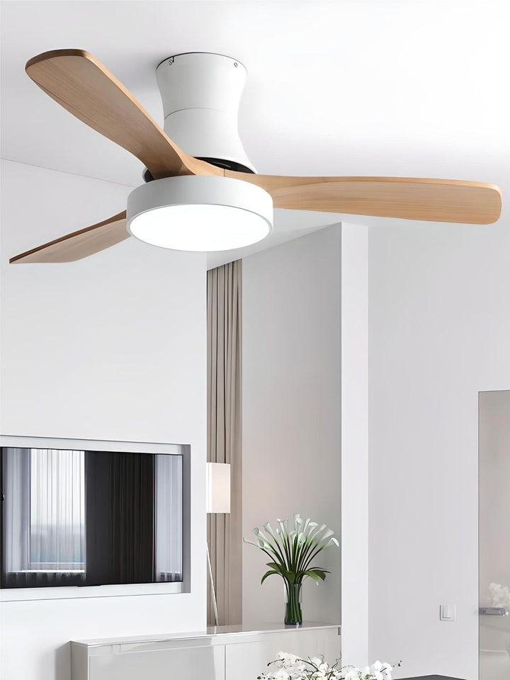 Designer Fans