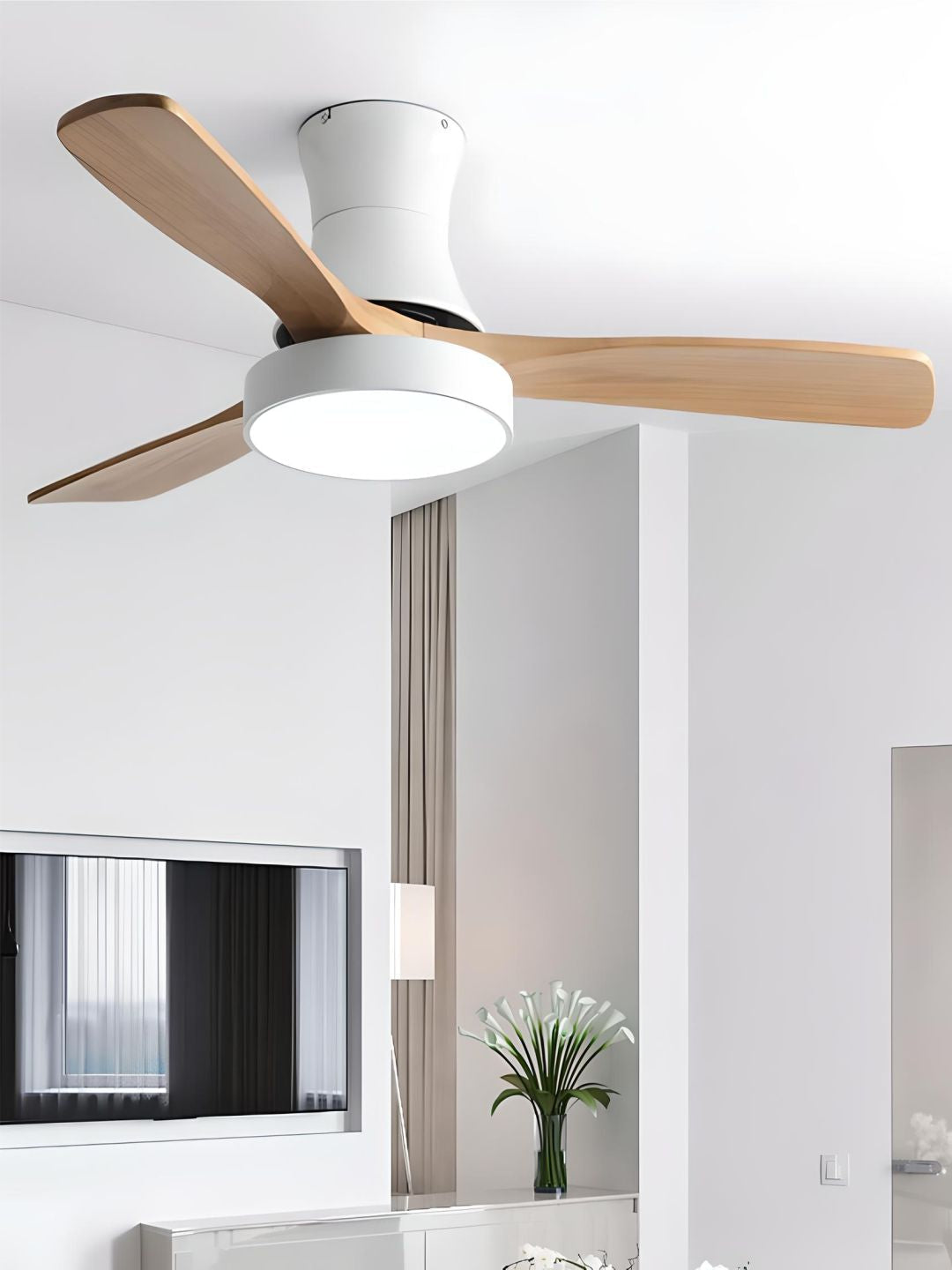Designer Fans