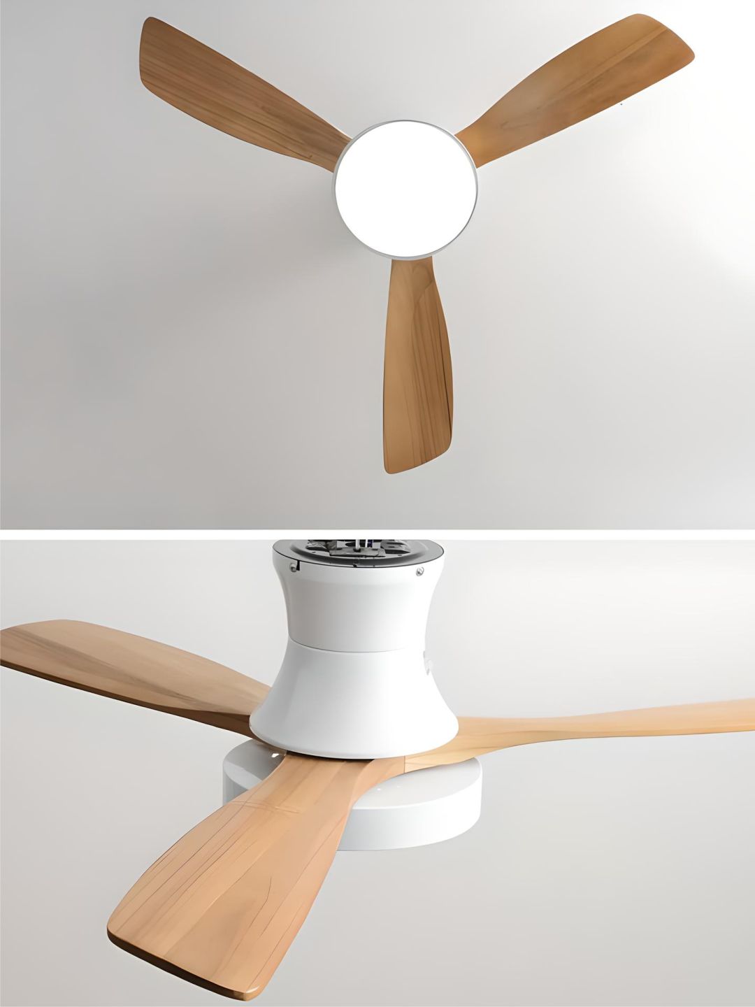 Designer Fans