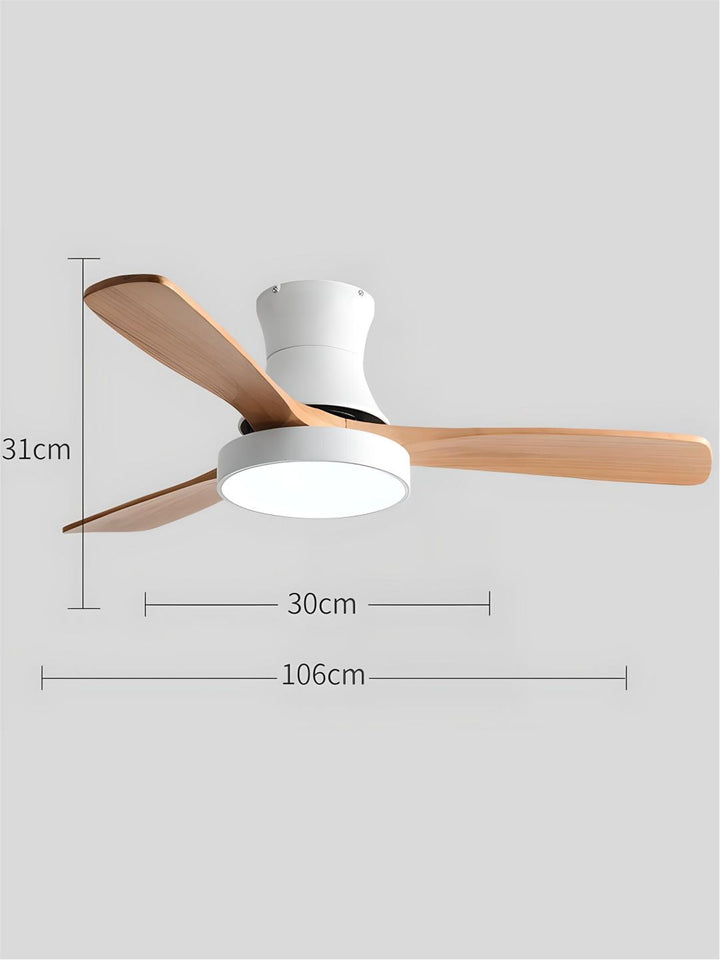 Designer Fans