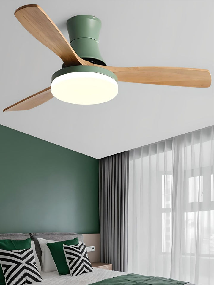 Designer Fans