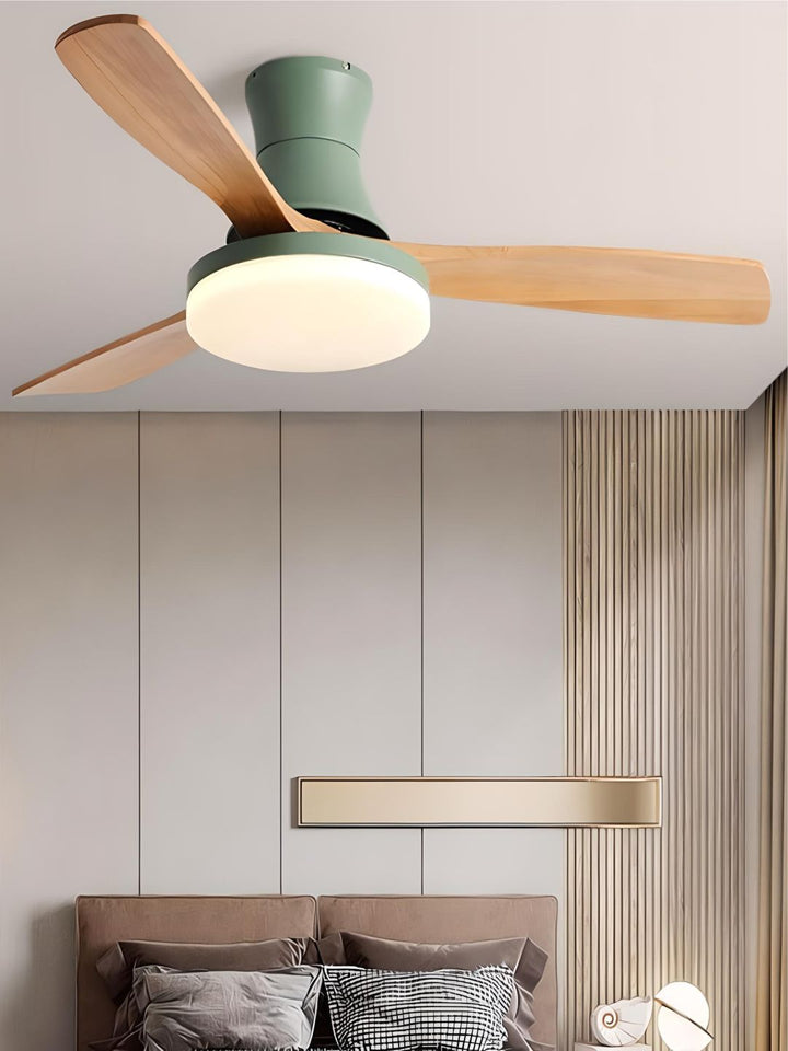 Designer Fans