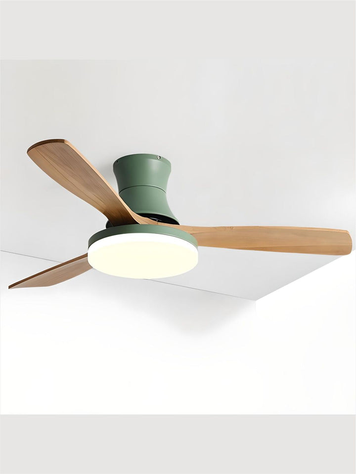Designer Fans