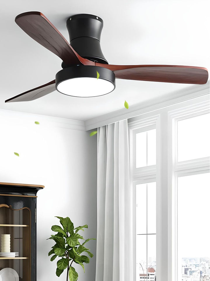 Designer Fans