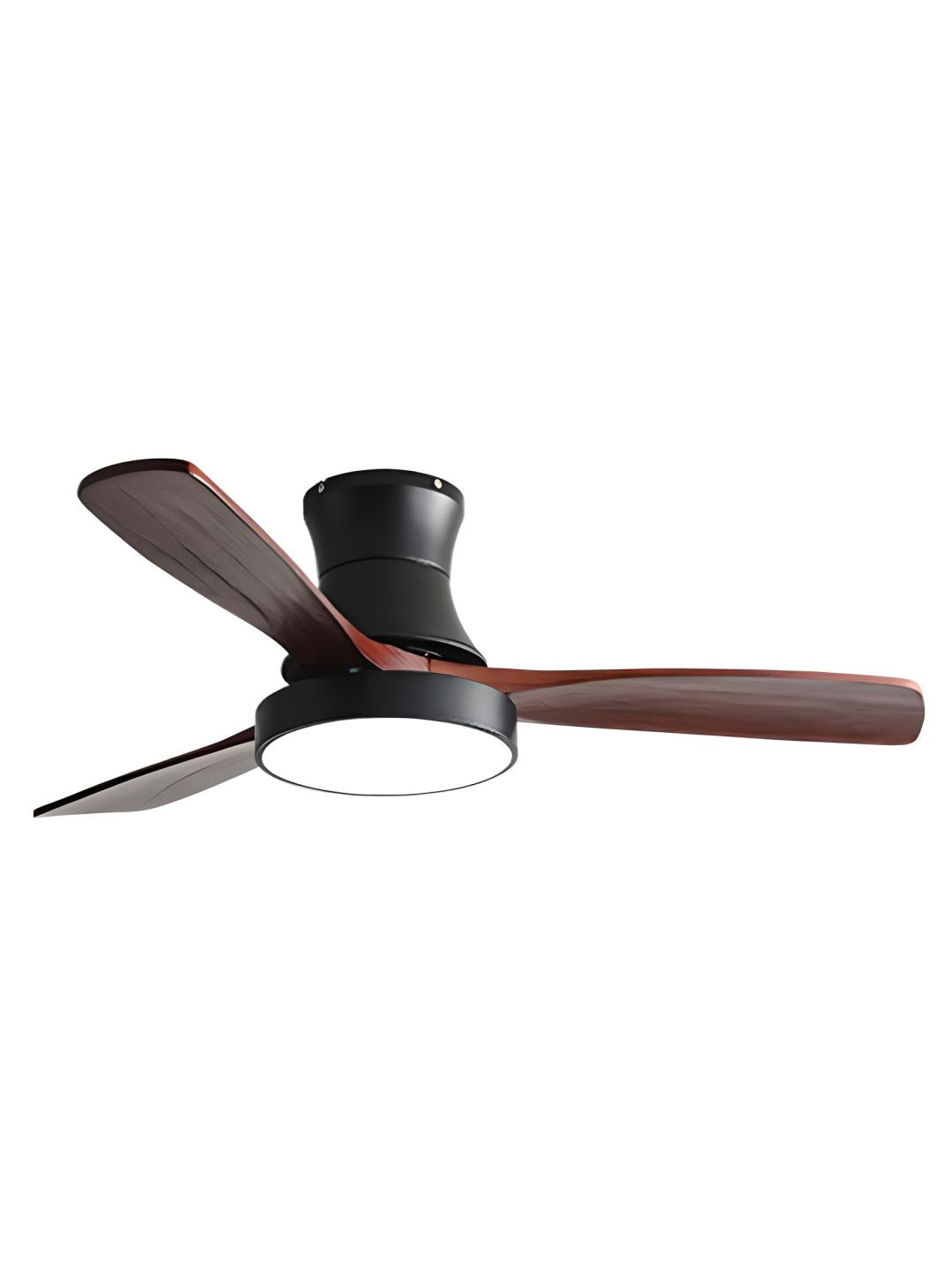 Designer Fans