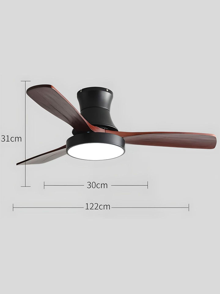 Designer Fans