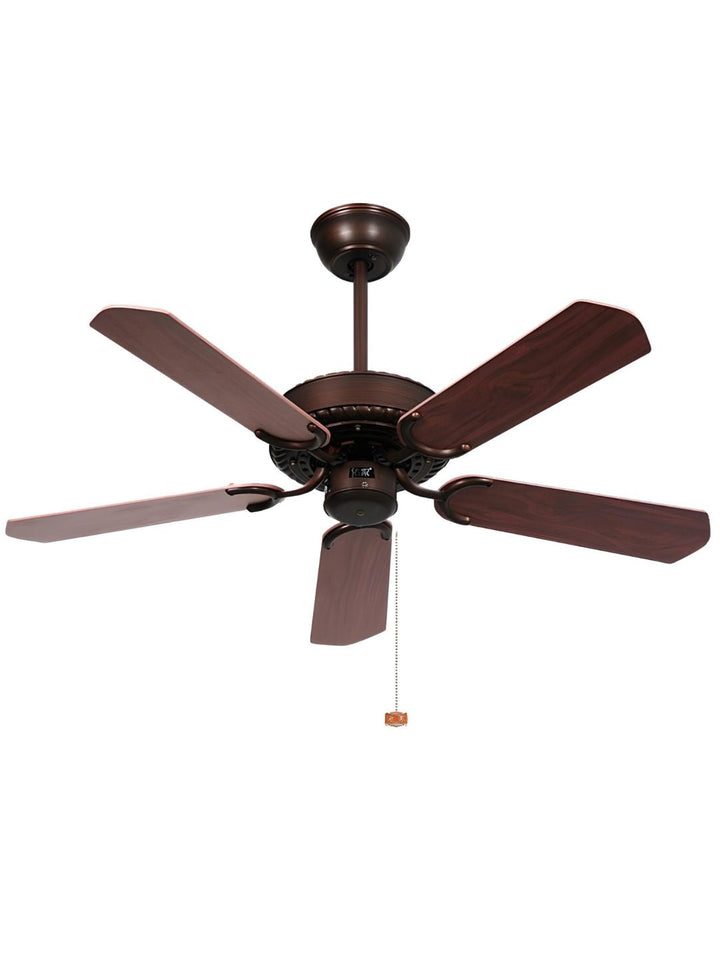 Designer Fans