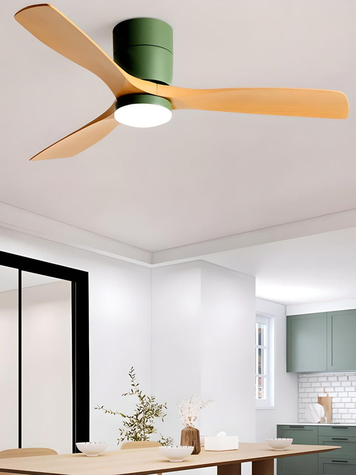 Designer Fans
