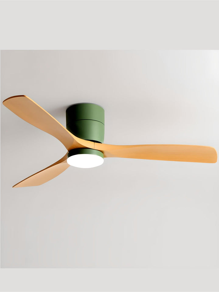 Designer Fans