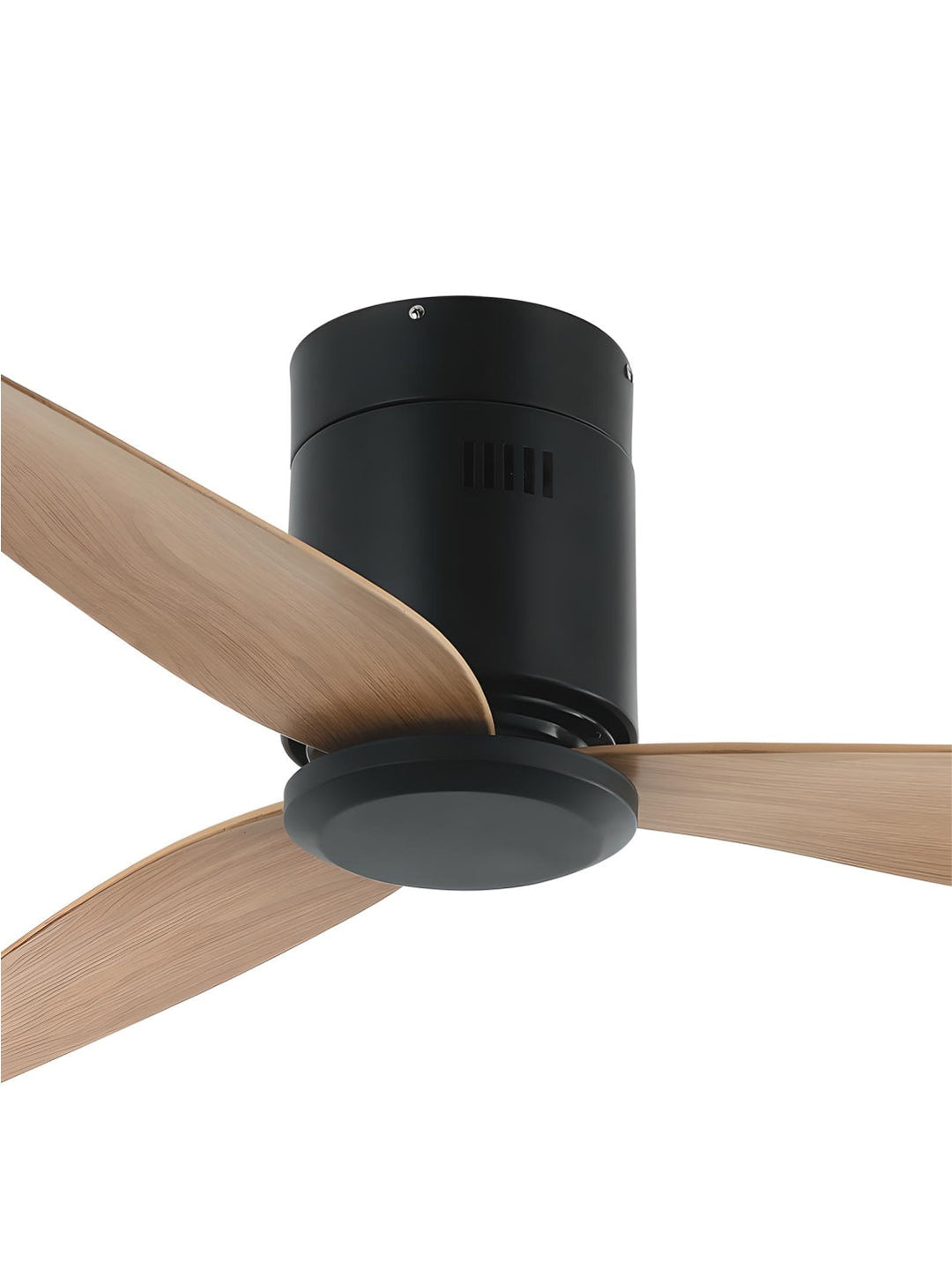 Designer Fans