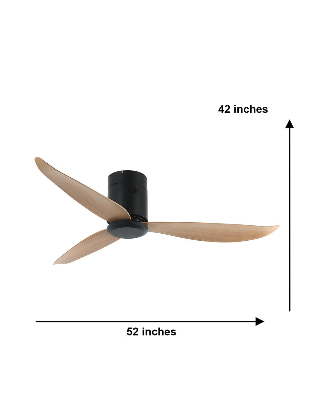 Designer Fans