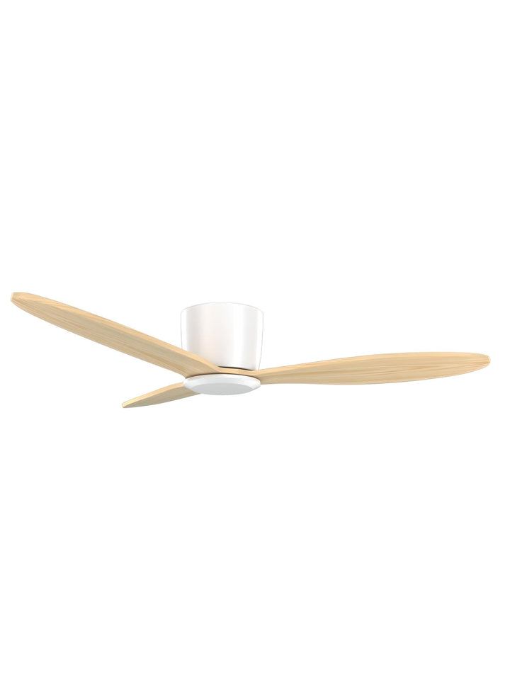 Designer Fans