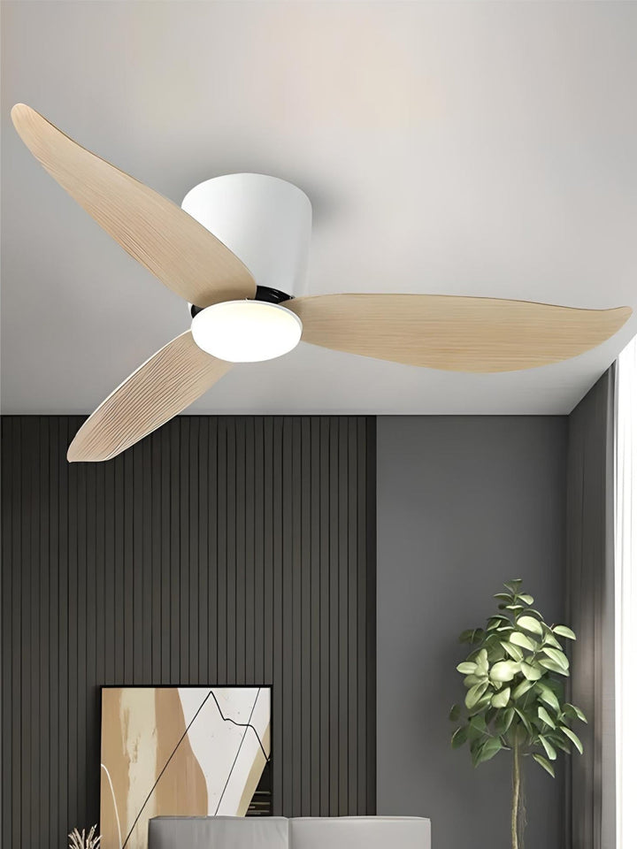 Designer Fans