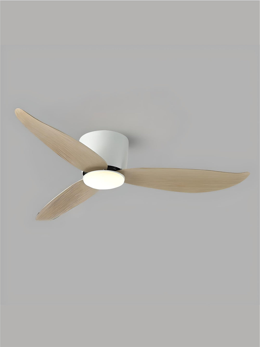 Designer Fans