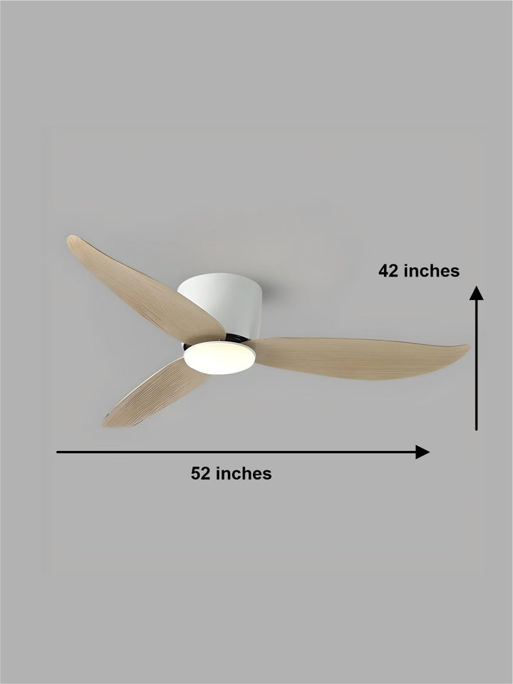 Designer Fans