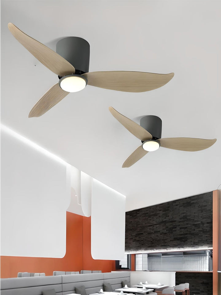 Designer Fans