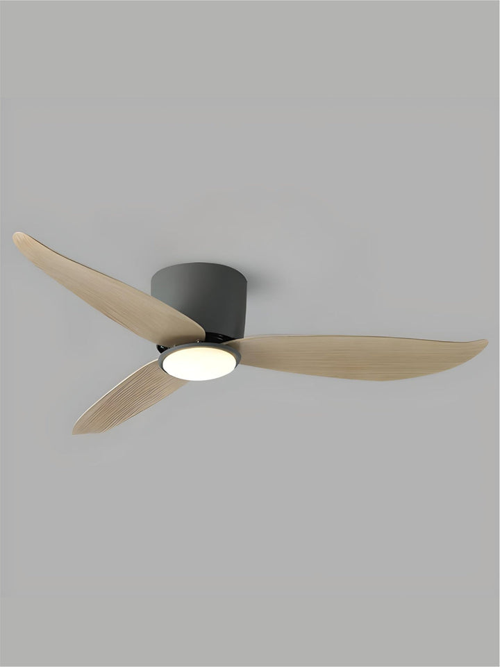 Designer Fans