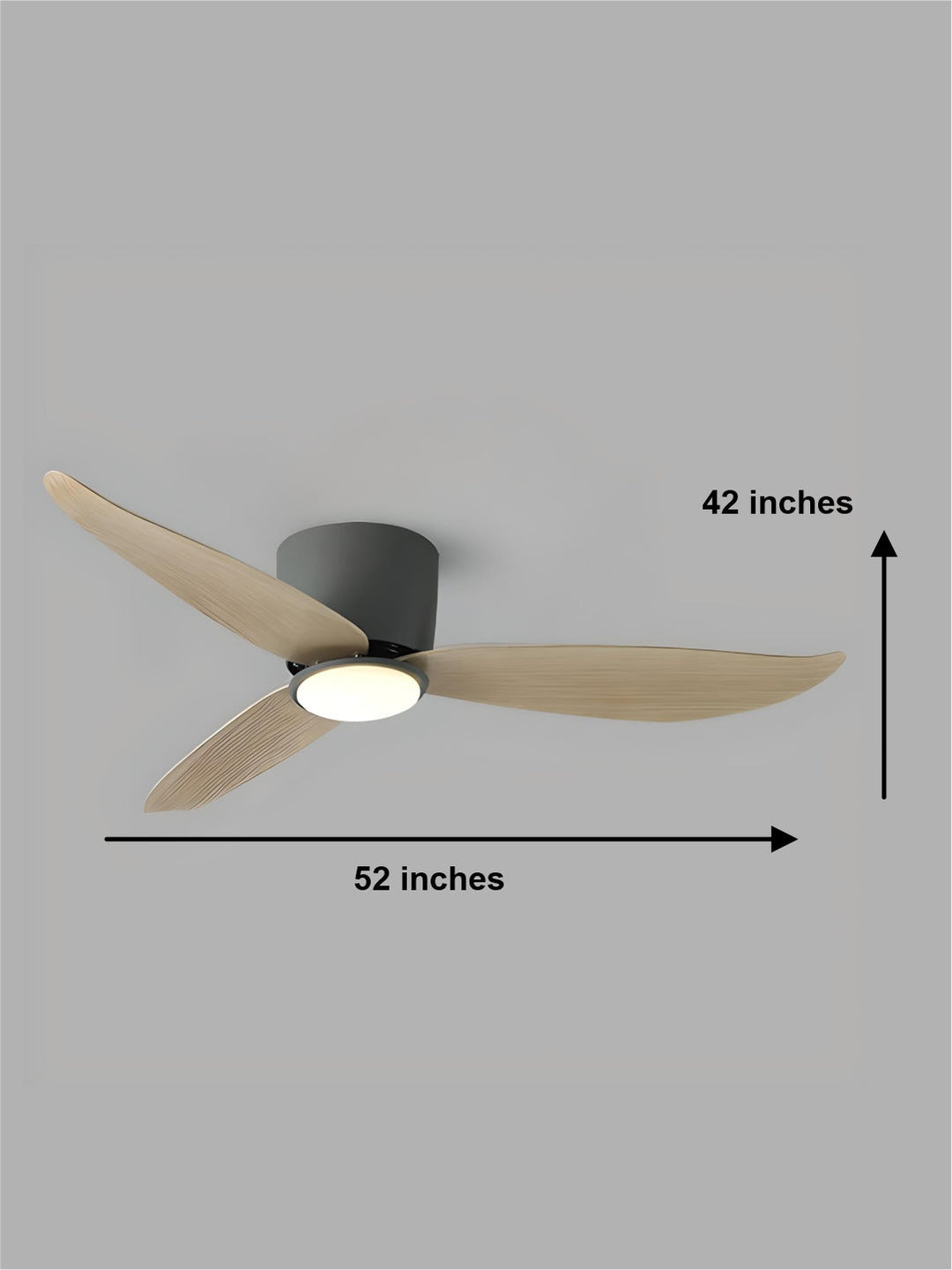 Designer Fans