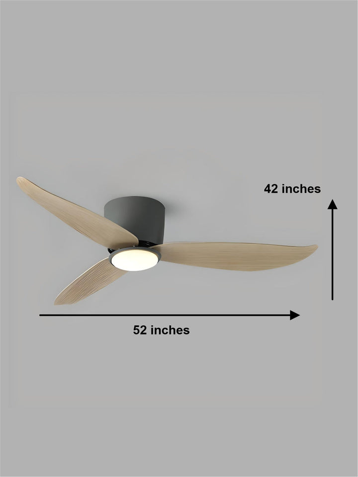 Designer Fans