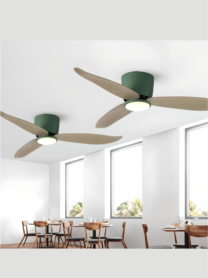Designer Fans