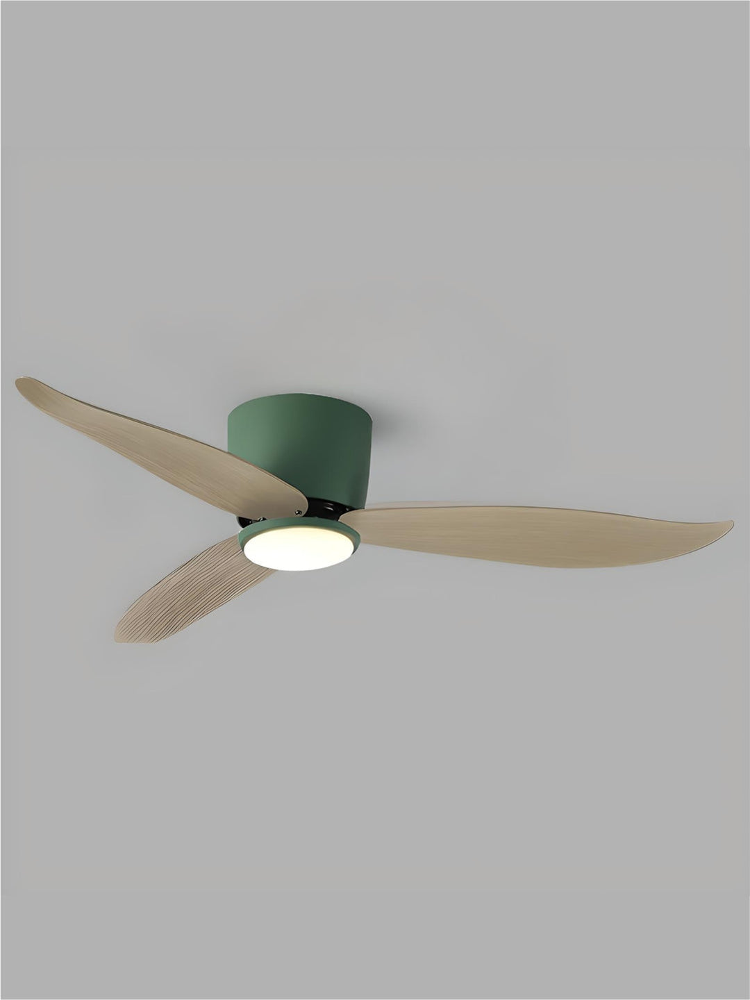 Designer Fans