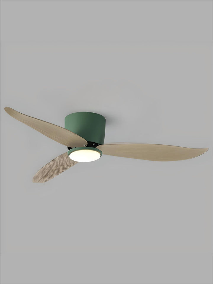 Designer Fans