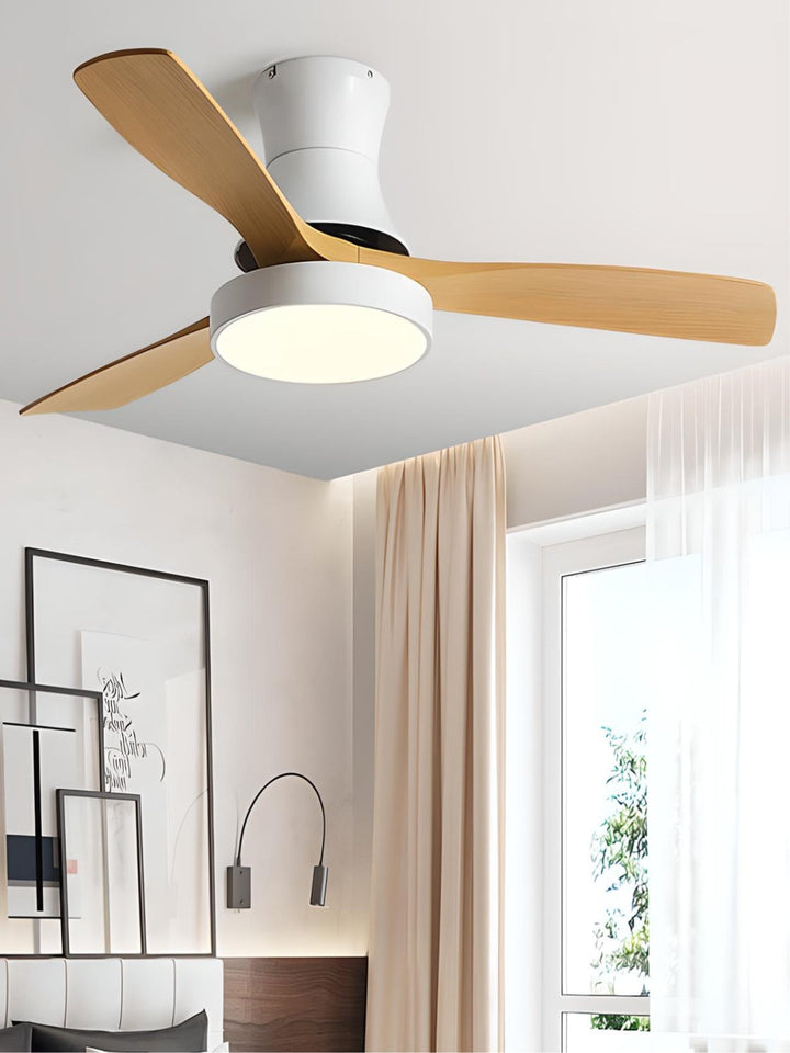 Designer Fans