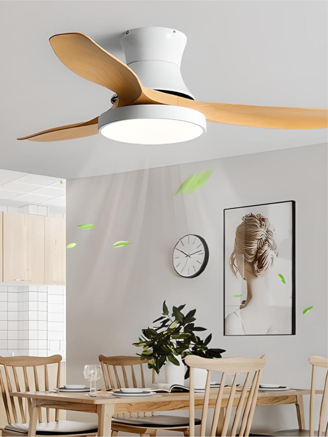 Designer Fans