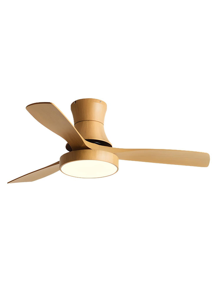 Designer Fans