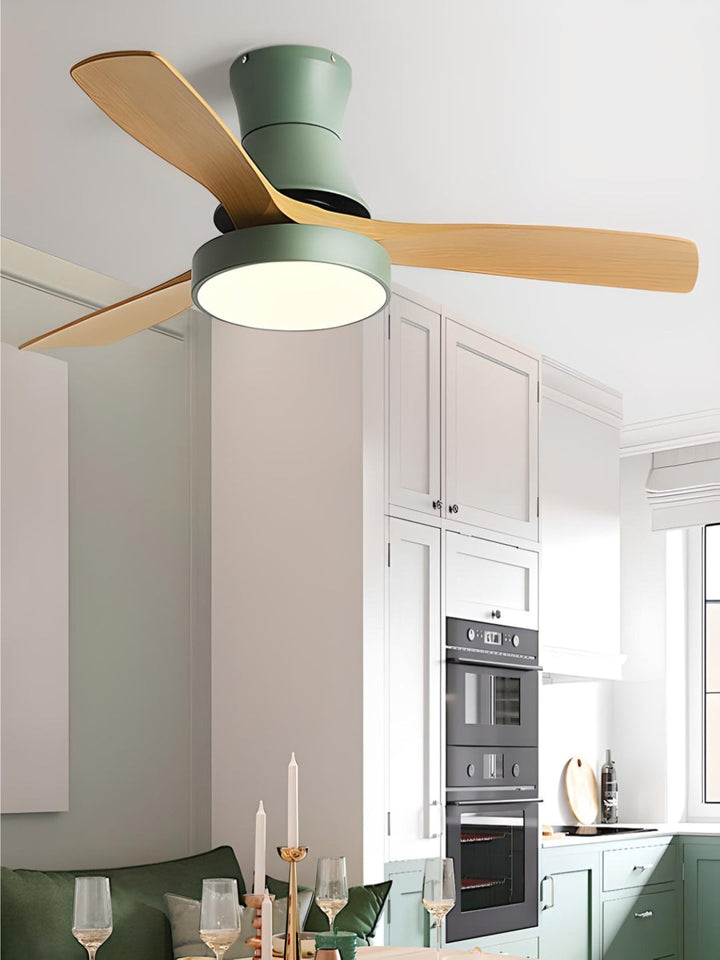 Designer Fans
