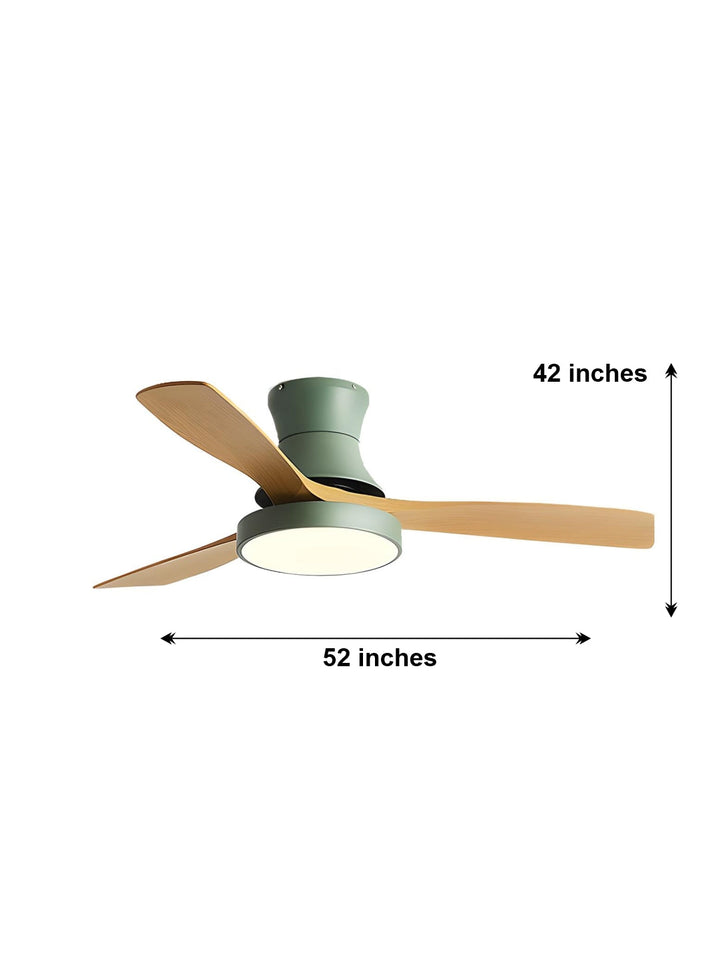 Designer Fans