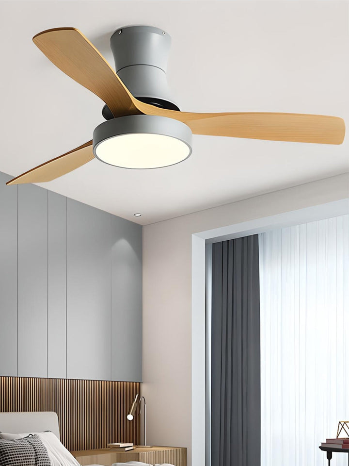 Designer Fans