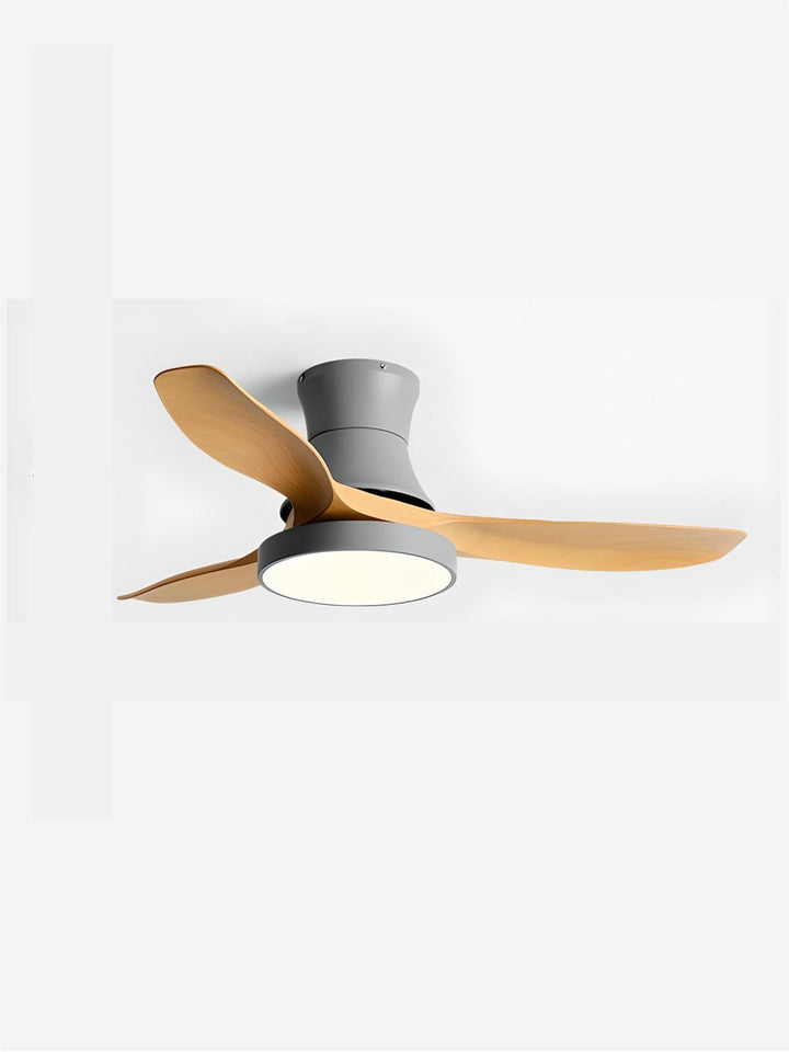 Designer Fans