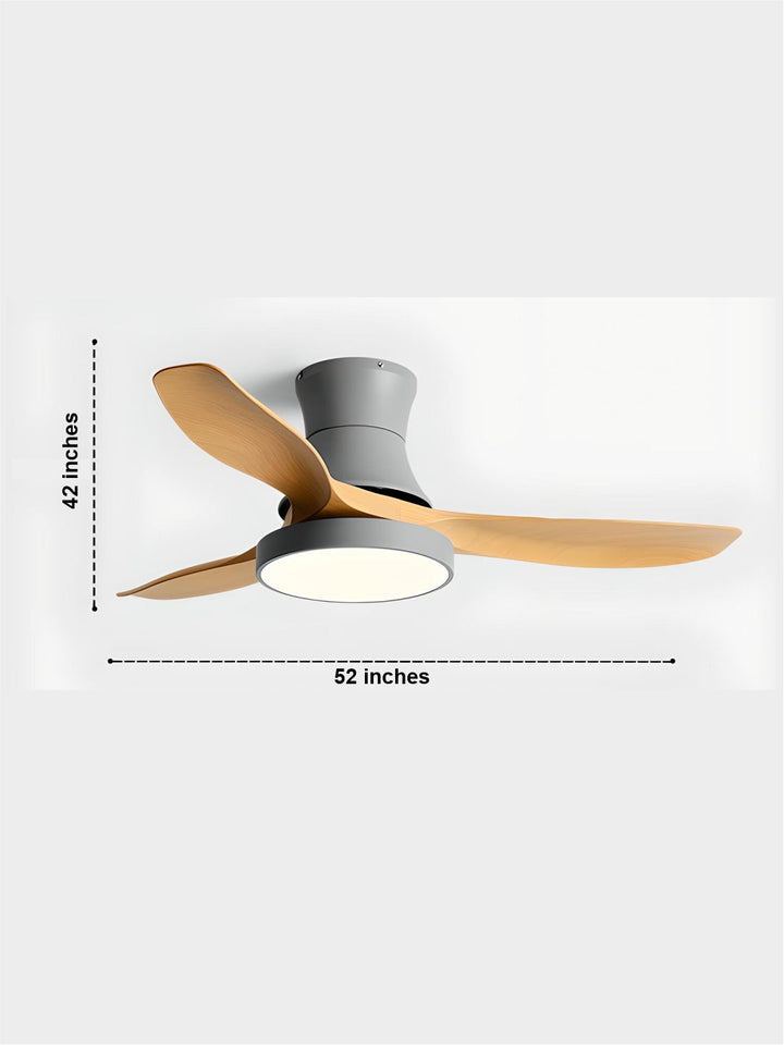 Designer Fans