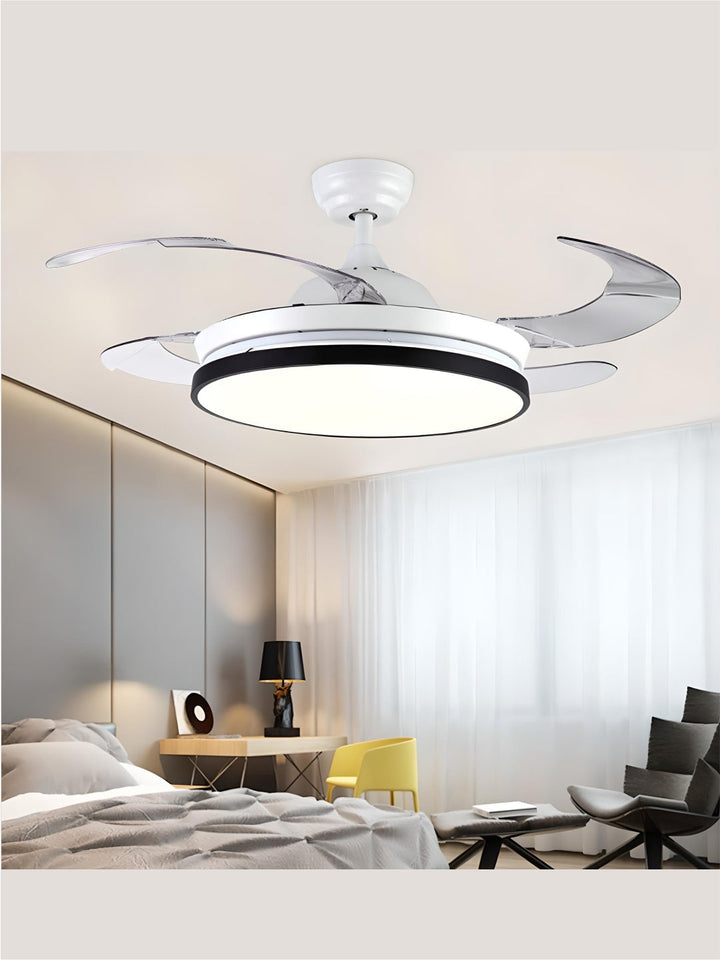 Designer Fans