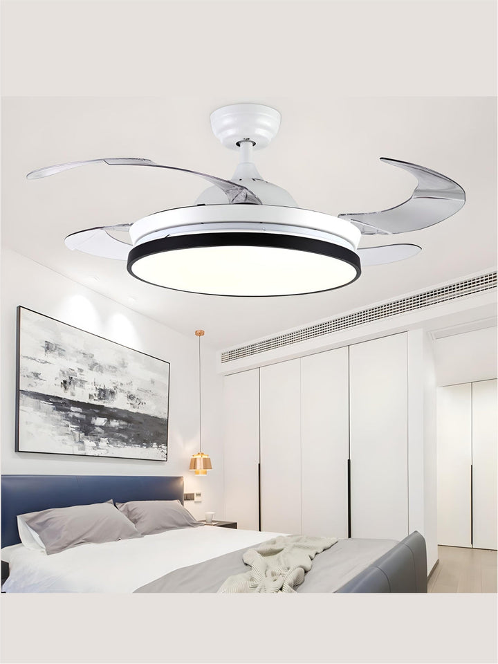 Designer Fans