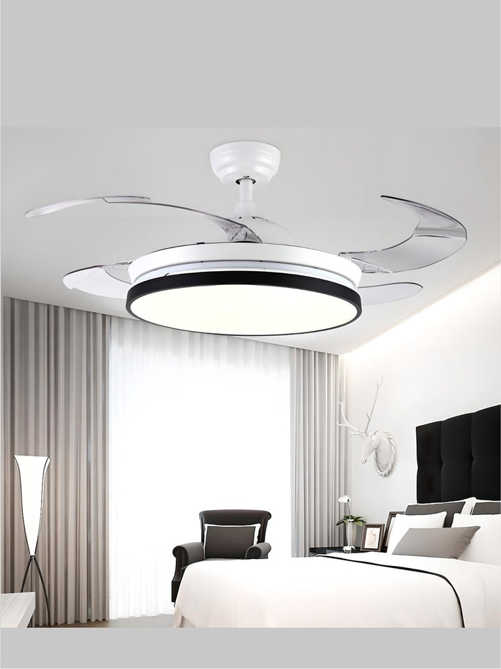 Designer Fans