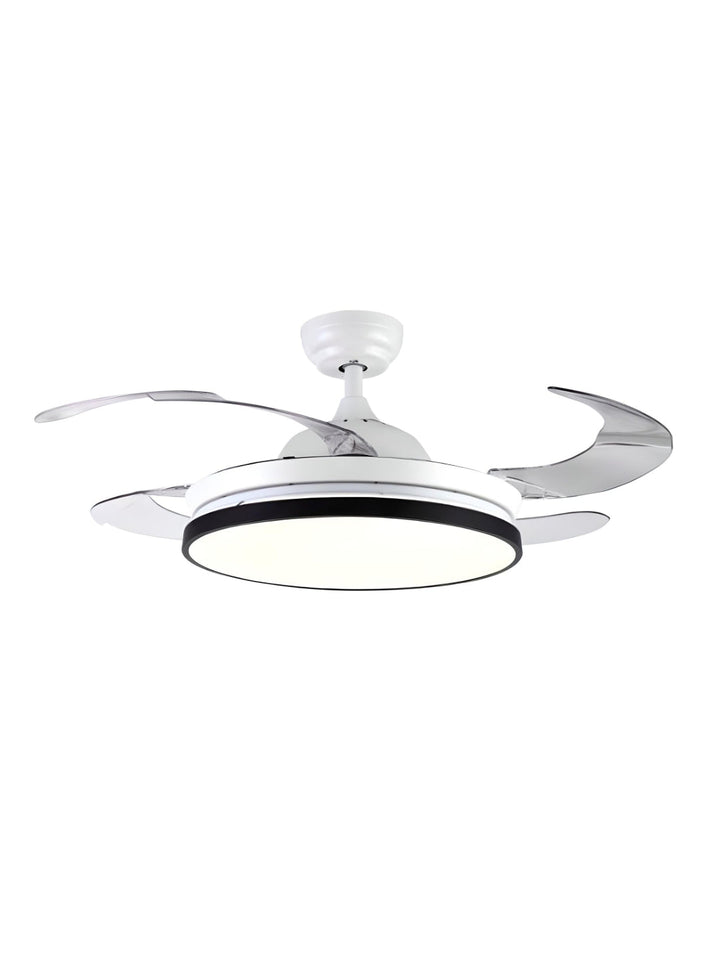 Designer Fans