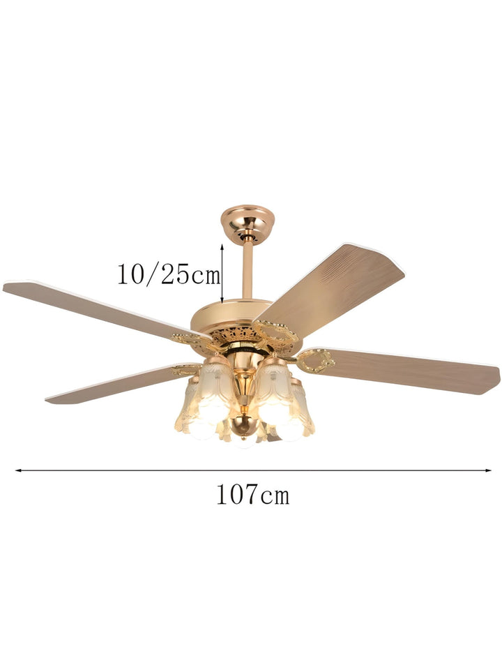 Designer Fans
