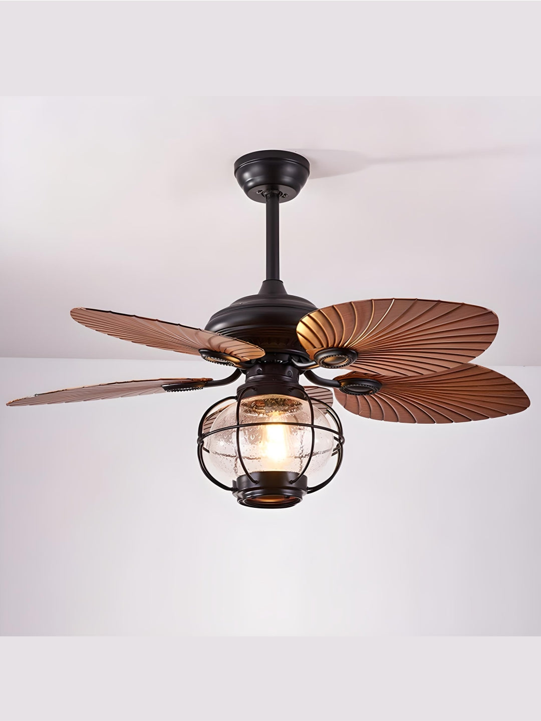 Designer Fans
