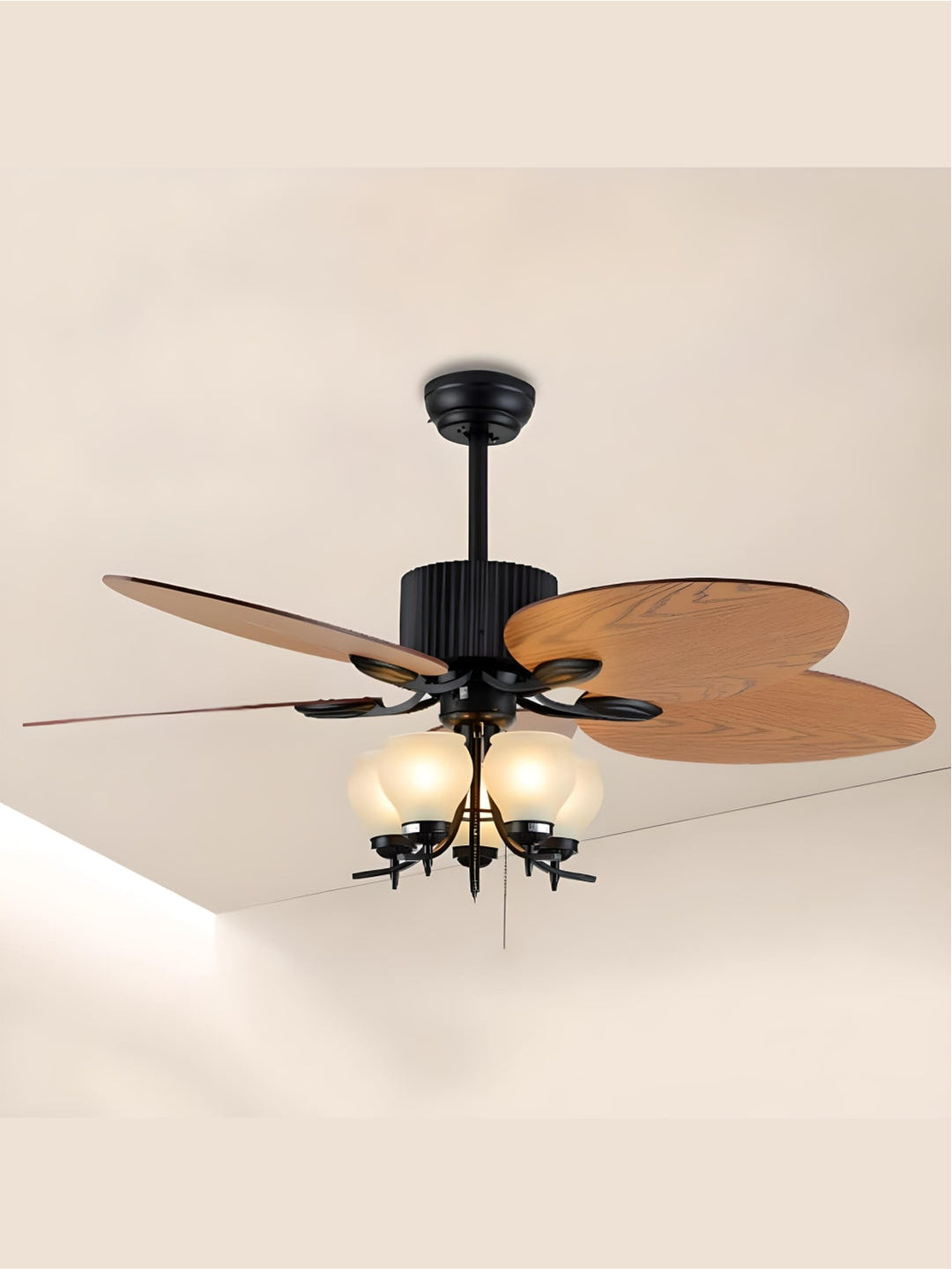 Designer Fans