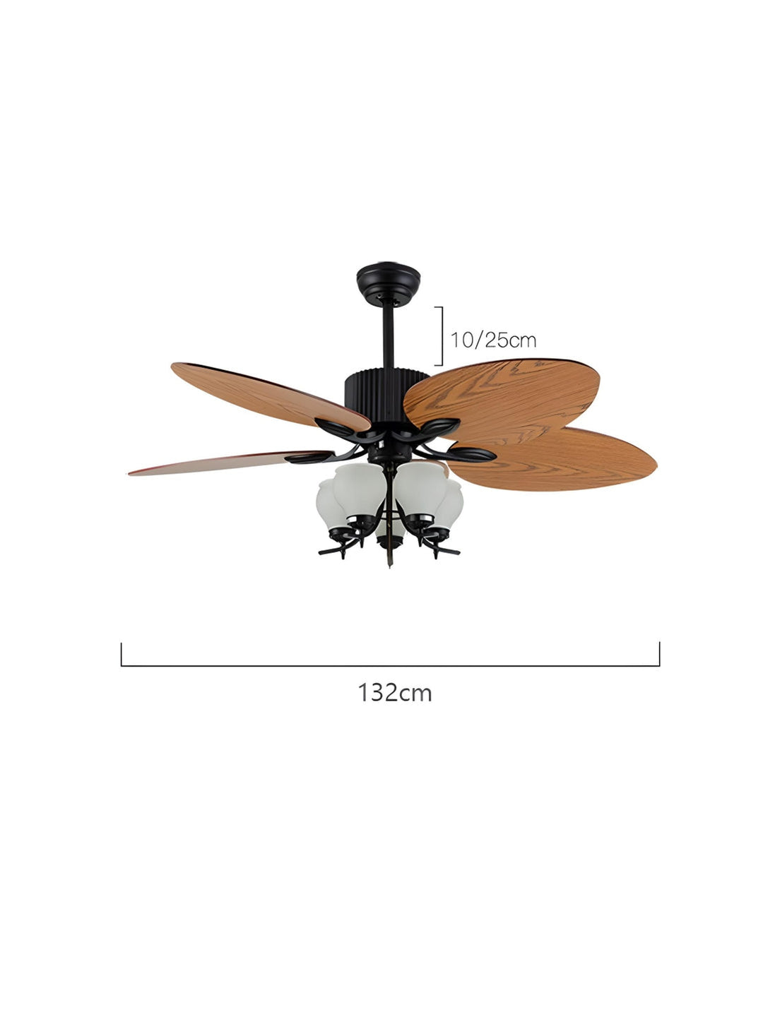 Designer Fans
