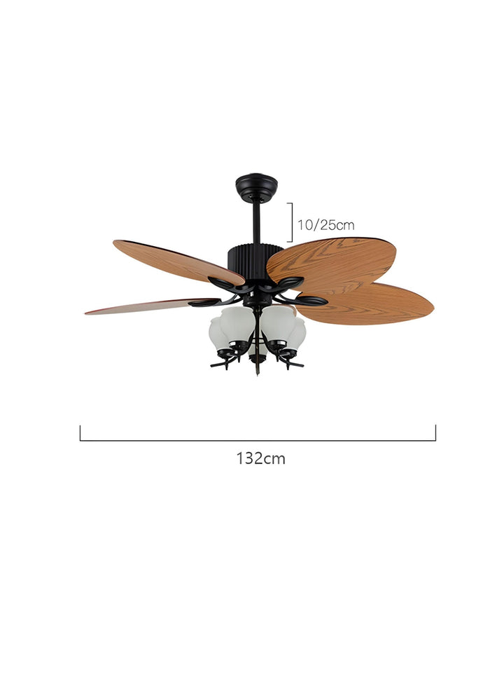 Designer Fans